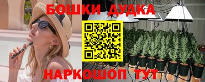 МДПВ Рыбинск