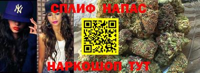 МДПВ Рыбинск